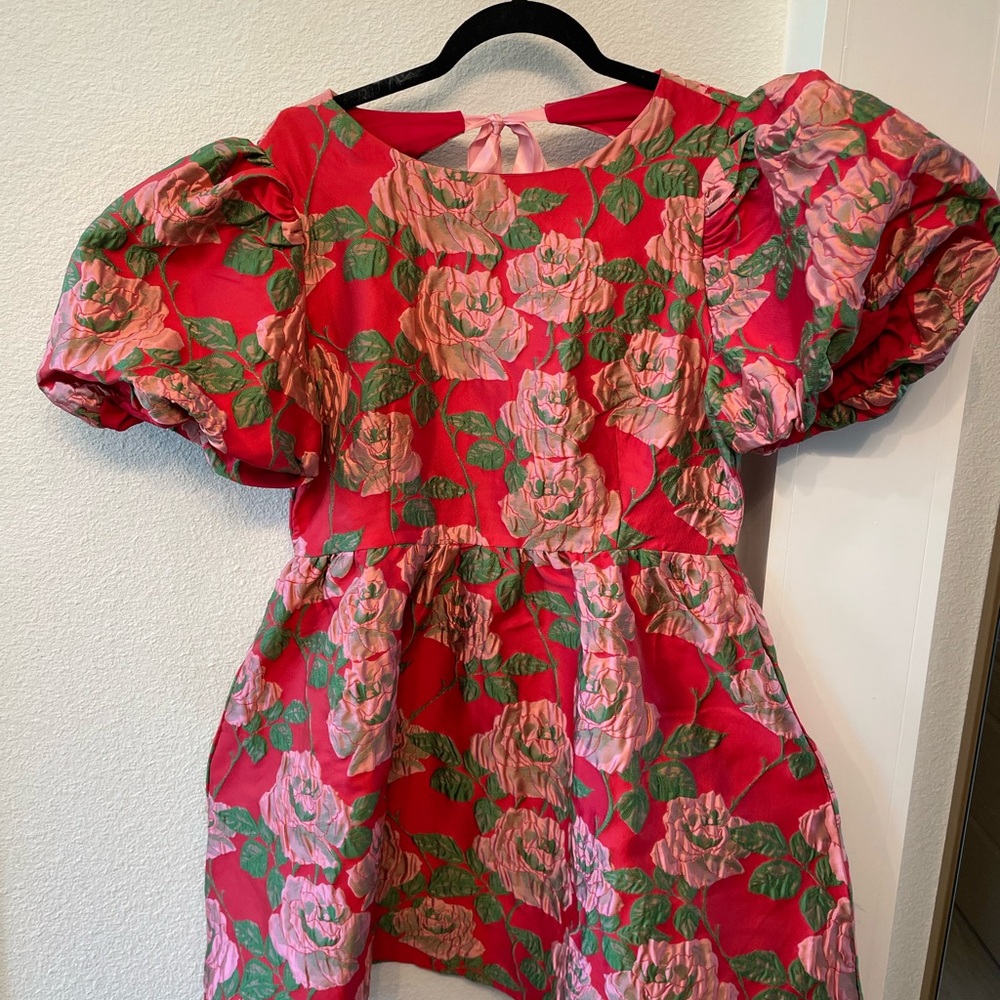TCEC Red and Pink Floral Puff Sleeve Mini Dress